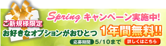 スプリングキャンペーン(新規ご契約者様限定)