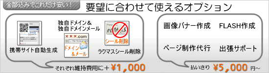 維持費用