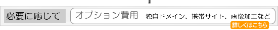 オプション費用