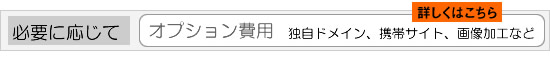 オプション費用