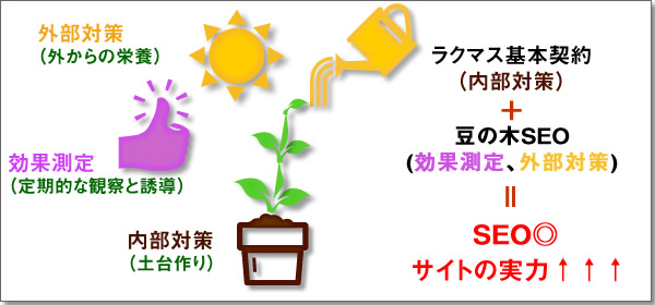 豆の木ＳＥＯ　イメージ02