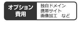 オプション費用